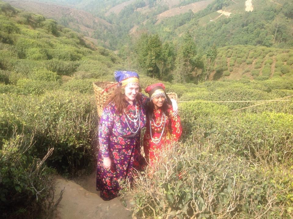 Tea Gardens in Darjeeling